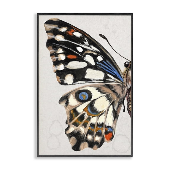 Stupell Industries French Country Spotted Butterfly Wing Black Framed Giclee Art, 16 x 24, by Melissa Wang