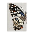 thumbnail image 1 of Stupell Industries French Country Spotted Butterfly Wing Canvas Art, 16 x 24, by Melissa Wang, 1 of 8