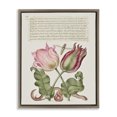 thumbnail image 1 of Stupell Industries French Country Tulips & Insects Antique Brown Floating Frame Canvas Art, 25 x 31, by Melissa Wang, 1 of 8