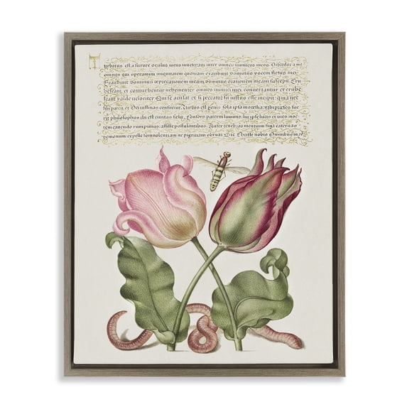 Stupell Industries French Country Tulips & Insects Antique Brown Floating Frame Canvas Art, 25 x 31, by Melissa Wang