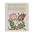thumbnail image 1 of Stupell Industries French Country Tulips & Insects Antique Canvas Art, 16 x 20, by Melissa Wang, 1 of 8