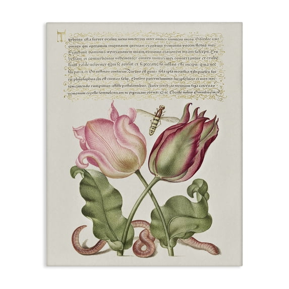 Stupell Industries French Country Tulips & Insects Antique Canvas Art, 16 x 20, by Melissa Wang