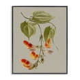 thumbnail image 1 of Stupell Industries French Country Vine with Red Blossoms Black Framed Giclee Art, 11 x 14, by Vision Studio, 1 of 8