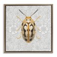 thumbnail image 1 of Stupell Industries French Country Vintage Beetle Floral Pattern Brown Floating Frame Canvas Art, 18 x 18, by Danhui Nai, 1 of 8
