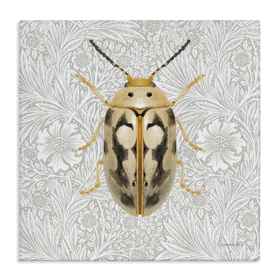 Stupell Industries French Country Vintage Beetle Floral Pattern Canvas Art, 24 x 24, by Danhui Nai