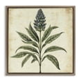 thumbnail image 1 of Stupell Industries French Country Vintage Blue Botanical Illustration Brown Floating Frame Canvas Art, 18 x 18, by Petals Prints Design, 1 of 7