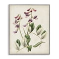 thumbnail image 1 of Stupell Industries French Country Vintage Foxglove Study Gray Framed Giclee Art, 16 x 20, by Ridgeway, 1 of 8