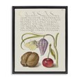 thumbnail image 1 of Stupell Industries French Country Woodland Flora Study Black Floating Frame Canvas Art, 17 x 21, by Melissa Wang, 1 of 8
