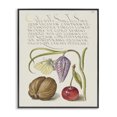 thumbnail image 1 of Stupell Industries French Country Woodland Flora Study Black Framed Giclee Art, 11 x 14, by Melissa Wang, 1 of 8