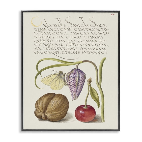 Stupell Industries French Country Woodland Flora Study Black Framed Giclee Art, 11 x 14, by Melissa Wang