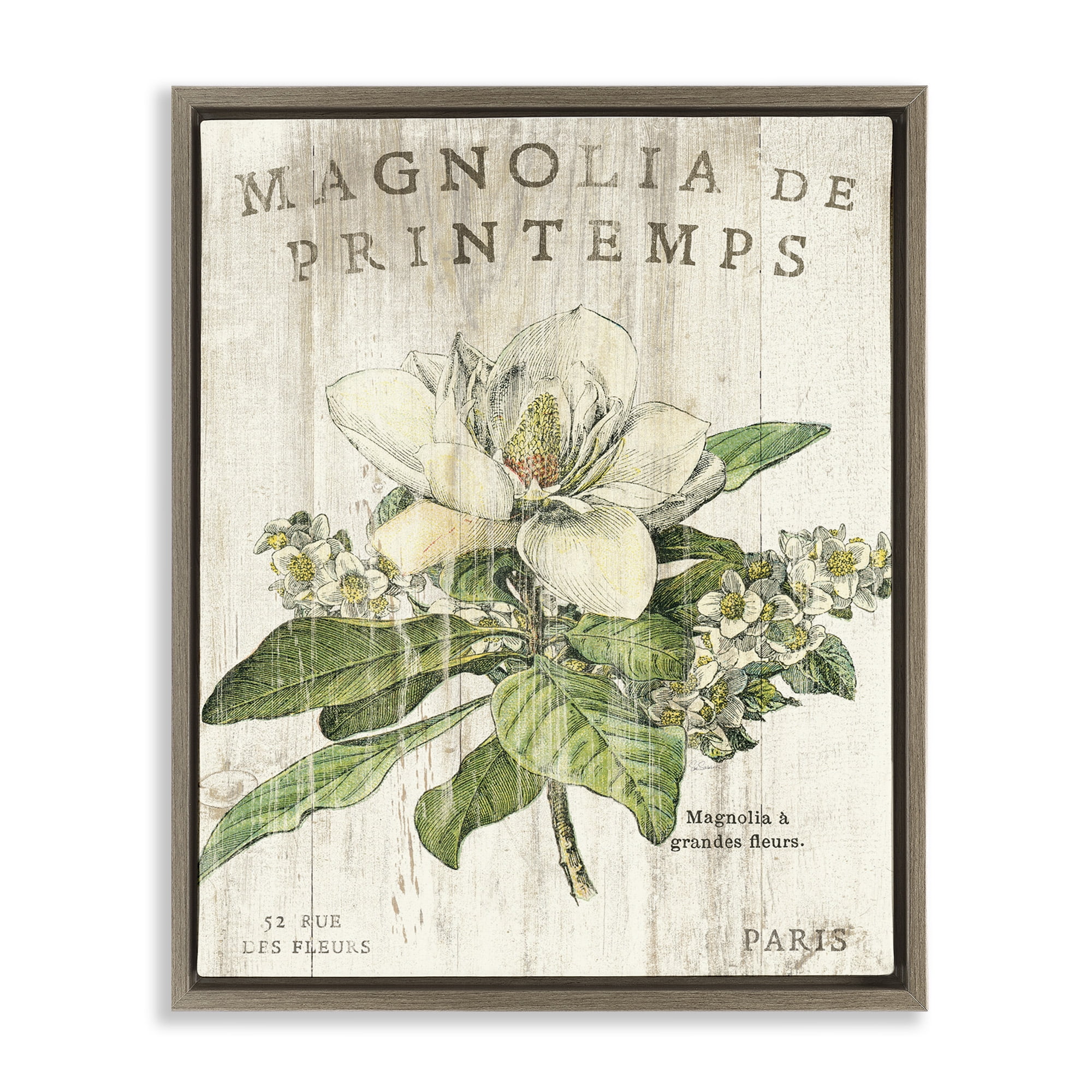 Stupell Industries French Magnolias In Spring Botanical & Floral Painting Brown Floater Framed Canvas Art Print Wall Art, 17 x 21
