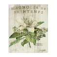 thumbnail image 1 of Stupell Industries French Magnolias In Spring Canvas Wall Art, 1 of 5