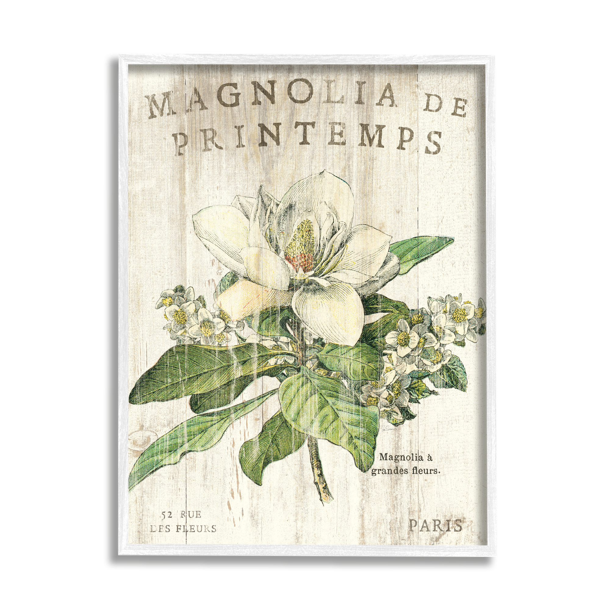 Stupell Industries French Magnolias In Spring Graphic Art White Framed Art Print Wall Art, 11x14, by Sue Schlabach