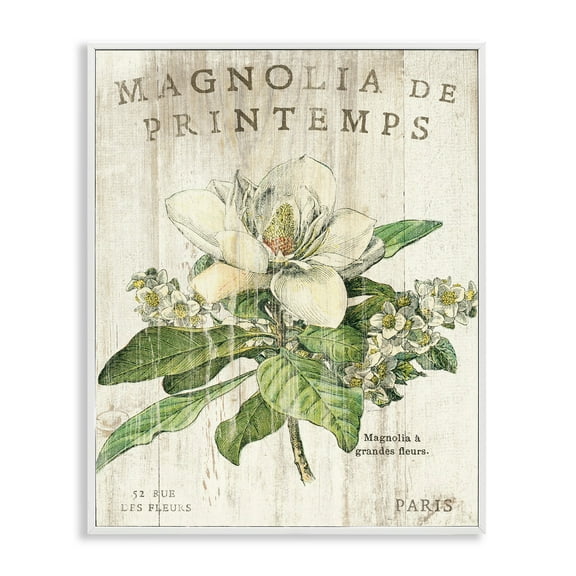 Stupell Industries French Magnolias In Spring Graphic Art White Framed Art Print Wall Art, 24x30, by Sue Schlabach