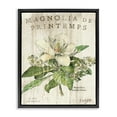 thumbnail image 1 of Stupell Industries French Magnolias In Spring Jet Black Framed Floating Canvas Wall Art, 24x30, by Sue Schlabach, 1 of 5