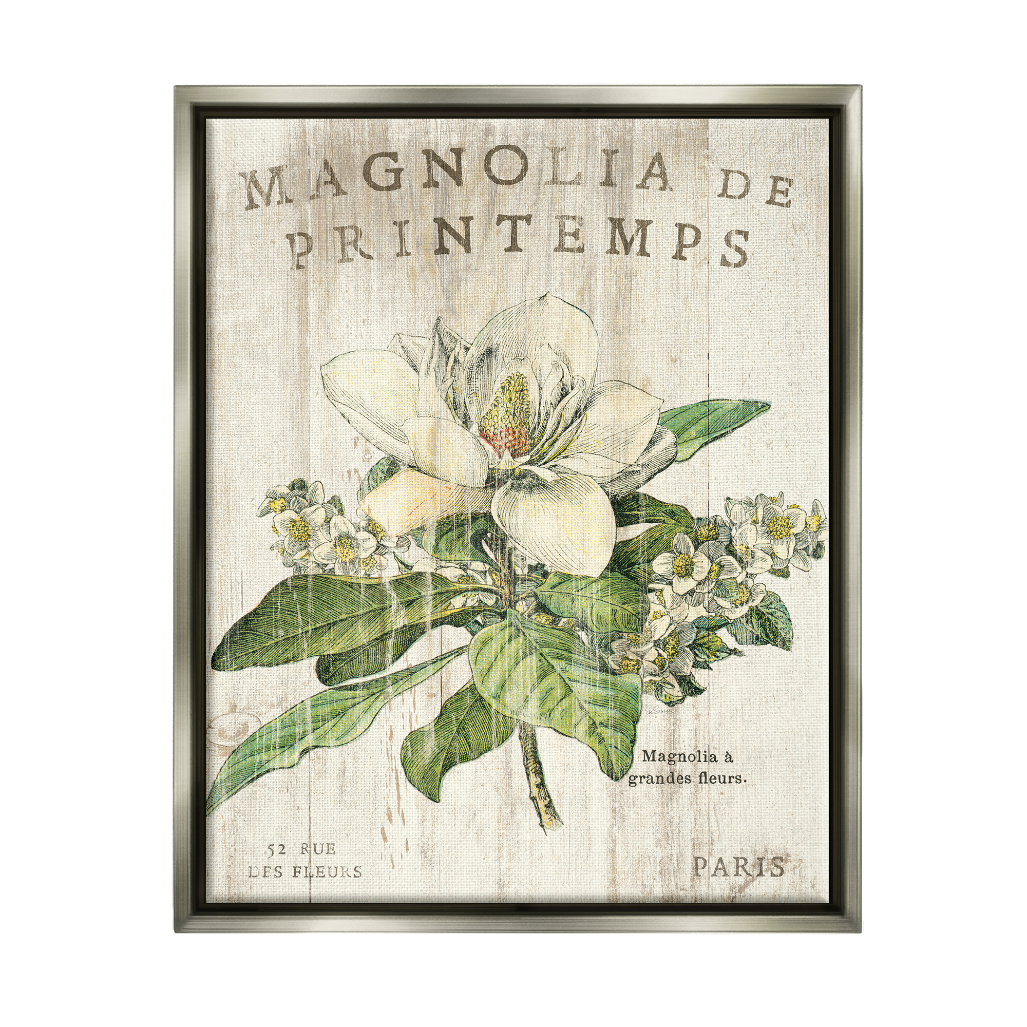 Stupell Industries French Magnolias In Spring Luster Gray Framed Floating Canvas Wall Art, 16x20, by Sue Schlabach