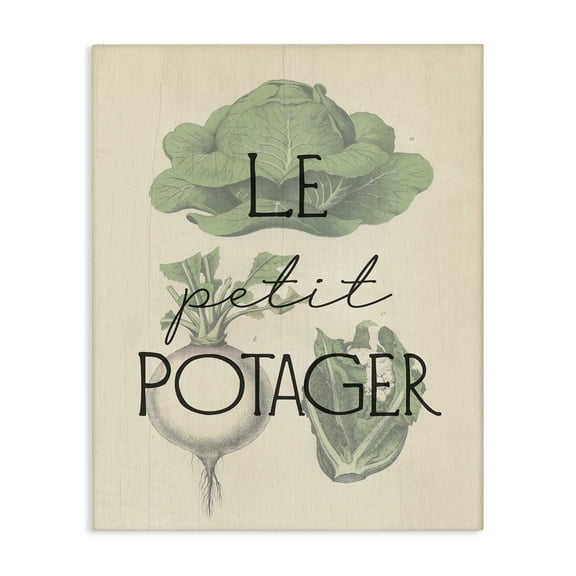 Stupell Industries French Vegetable Garden Food & Beverage Painting Wrapped Canvas Art Print Wall Art, 16 x 20