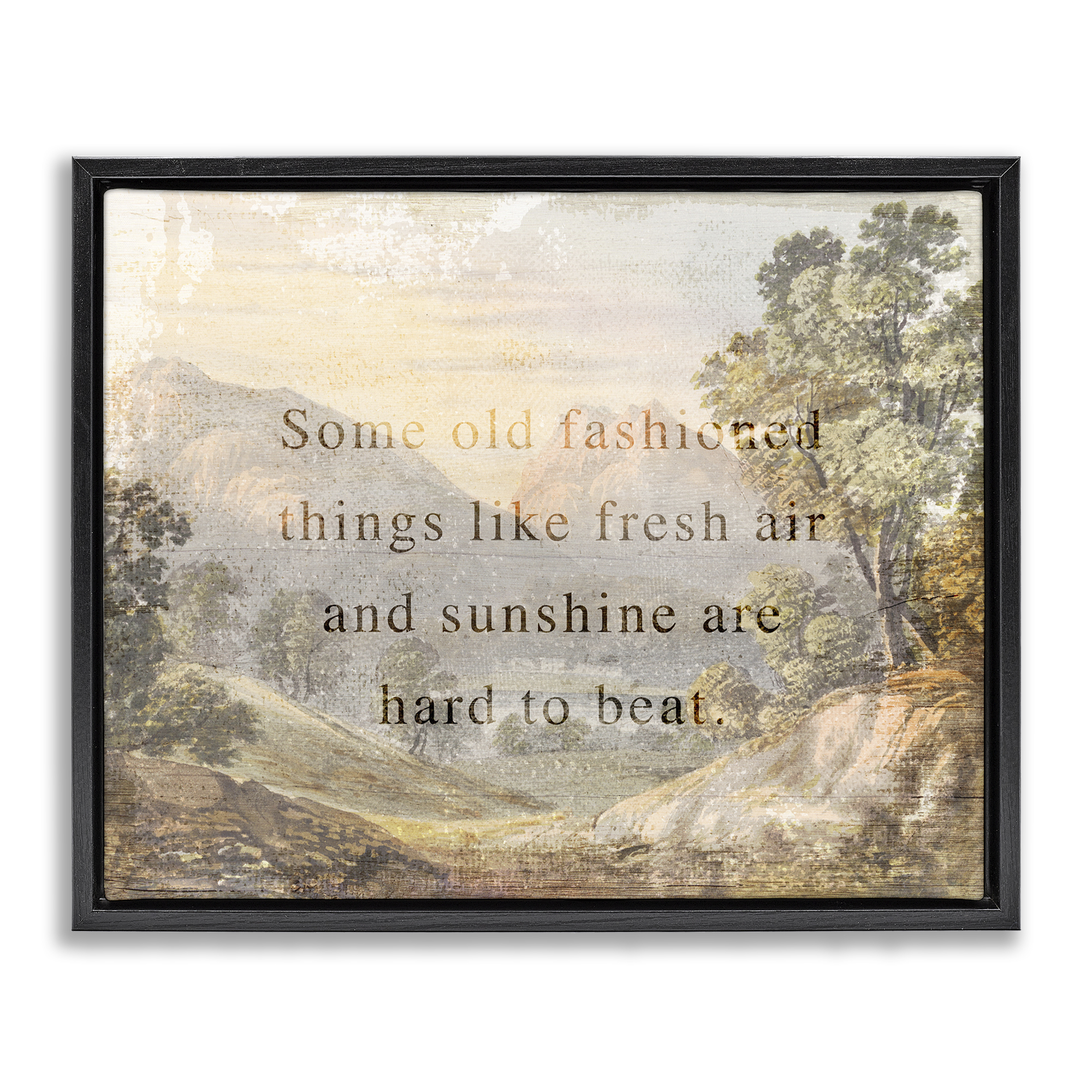 Stupell Industries Fresh Air Sentiment Landscape Landscape & Nature Painting Black Floater Framed Canvas Art Print Wall Art, 31 x 25