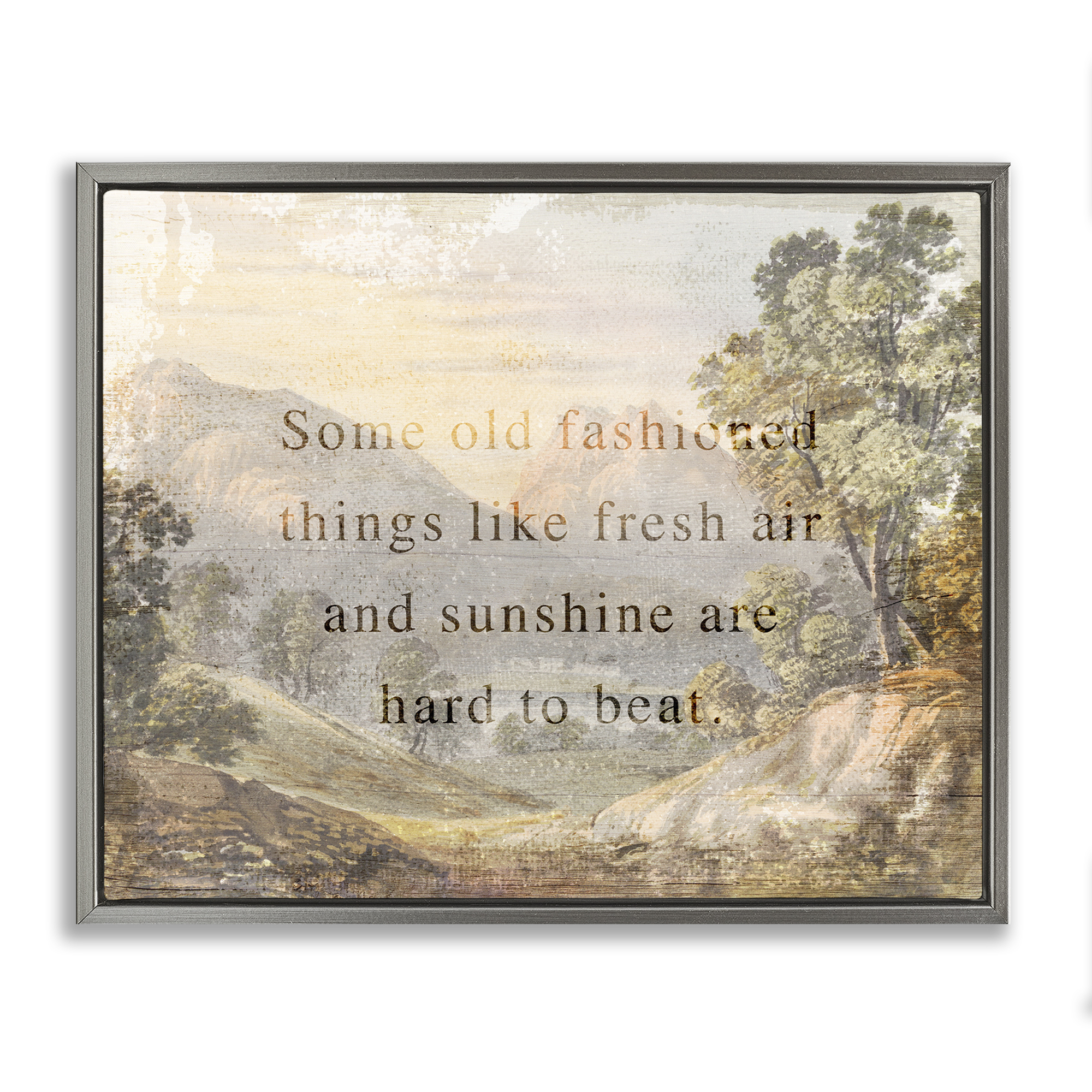 Stupell Industries Fresh Air Sentiment Landscape Landscape & Nature Painting Gray Floater Framed Canvas Art Print Wall Art, 21 x 17