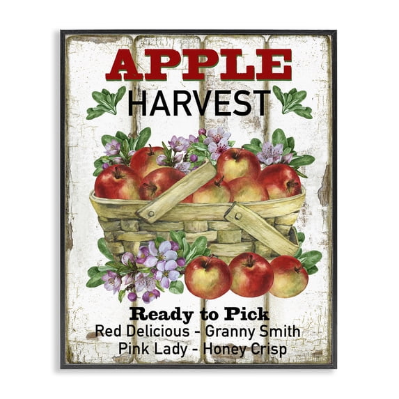Stupell Industries Fresh Apple Harvest Food & Beverage Painting Black Framed Art Print Wall Art, 11 x 14