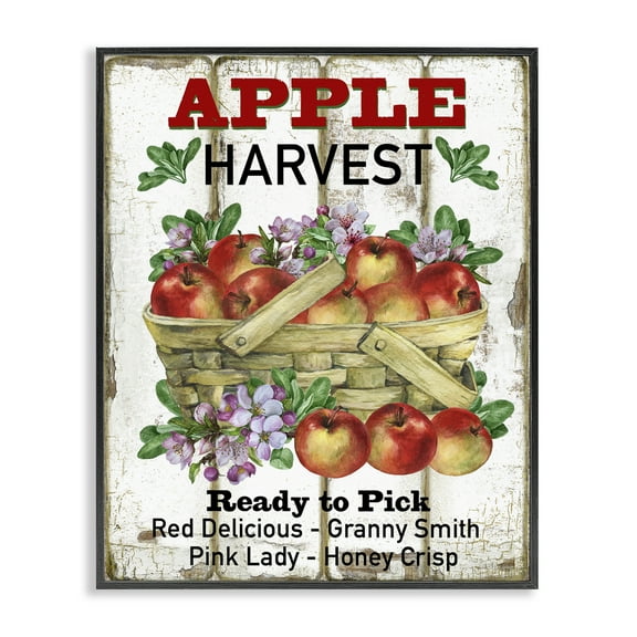 Stupell Industries Fresh Apple Harvest Food & Beverage Painting Black Framed Art Print Wall Art, 16 x 20
