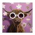 thumbnail image 1 of Stupell Industries Cottage Fresh As A Daisy Cattle Canvas Art, 17 x 17, by Lucia Heffernan, 1 of 8