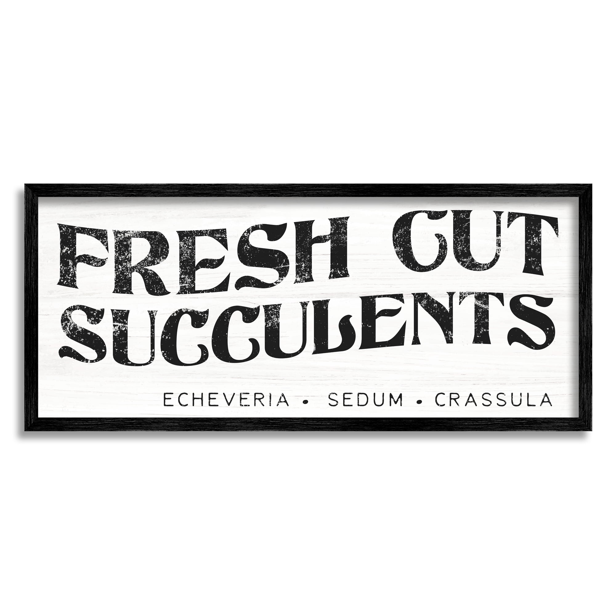 Stupell Industries Fresh Cut Succulents Antique Style Grainy Sign Graphic Art Black Framed Art Print Wall Art, Design by Daphne Polselli