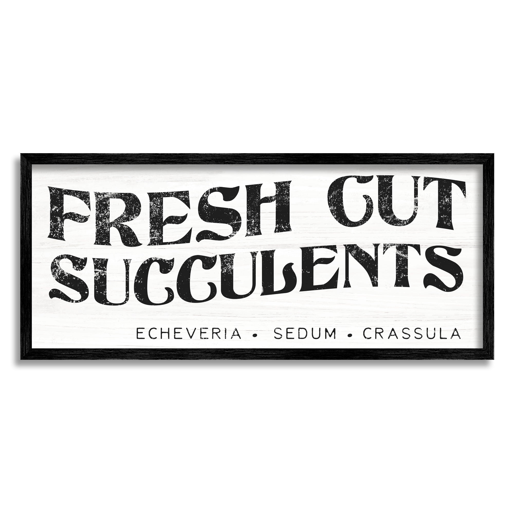 Stupell Industries Fresh Cut Succulents Antique Style Grainy Sign Graphic Art Black Framed Art Print Wall Art, Design by Daphne Polselli