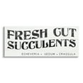 thumbnail image 1 of Stupell Industries Fresh Cut Succulents Antique Style Grainy Sign Graphic Art Gallery Wrapped Canvas Print Wall Art, Design by Daphne Polselli, 1 of 5