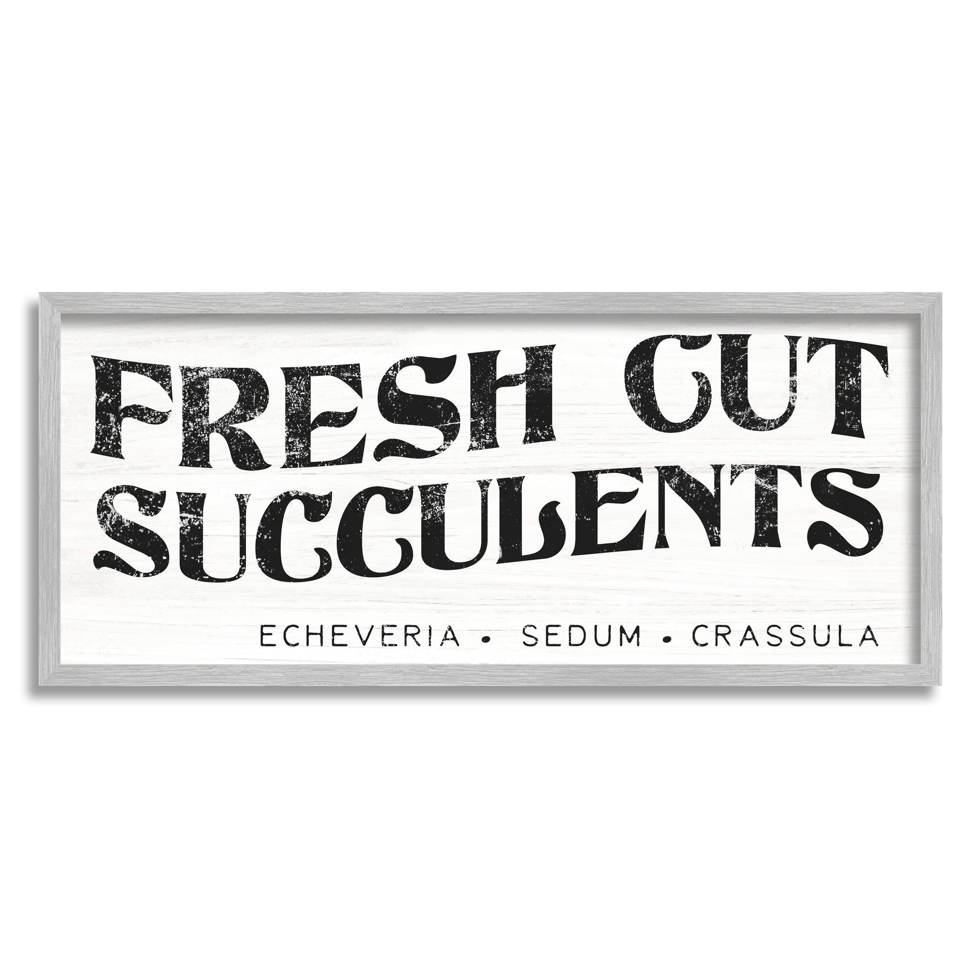 Stupell Industries Fresh Cut Succulents Antique Style Grainy Sign Graphic Art Gray Framed Art Print Wall Art, Design by Daphne Polselli