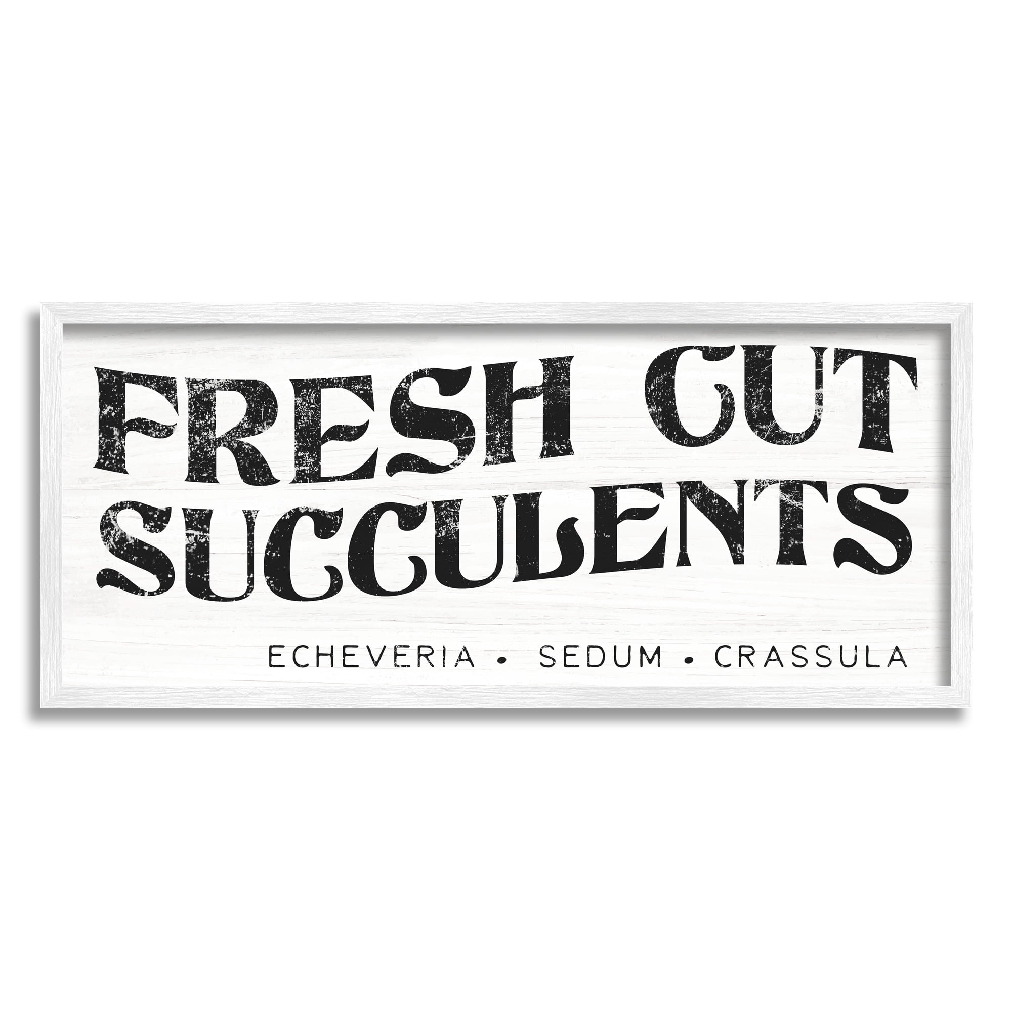 Stupell Industries Fresh Cut Succulents Antique Style Grainy Sign Graphic Art White Framed Art Print Wall Art, Design by Daphne Polselli
