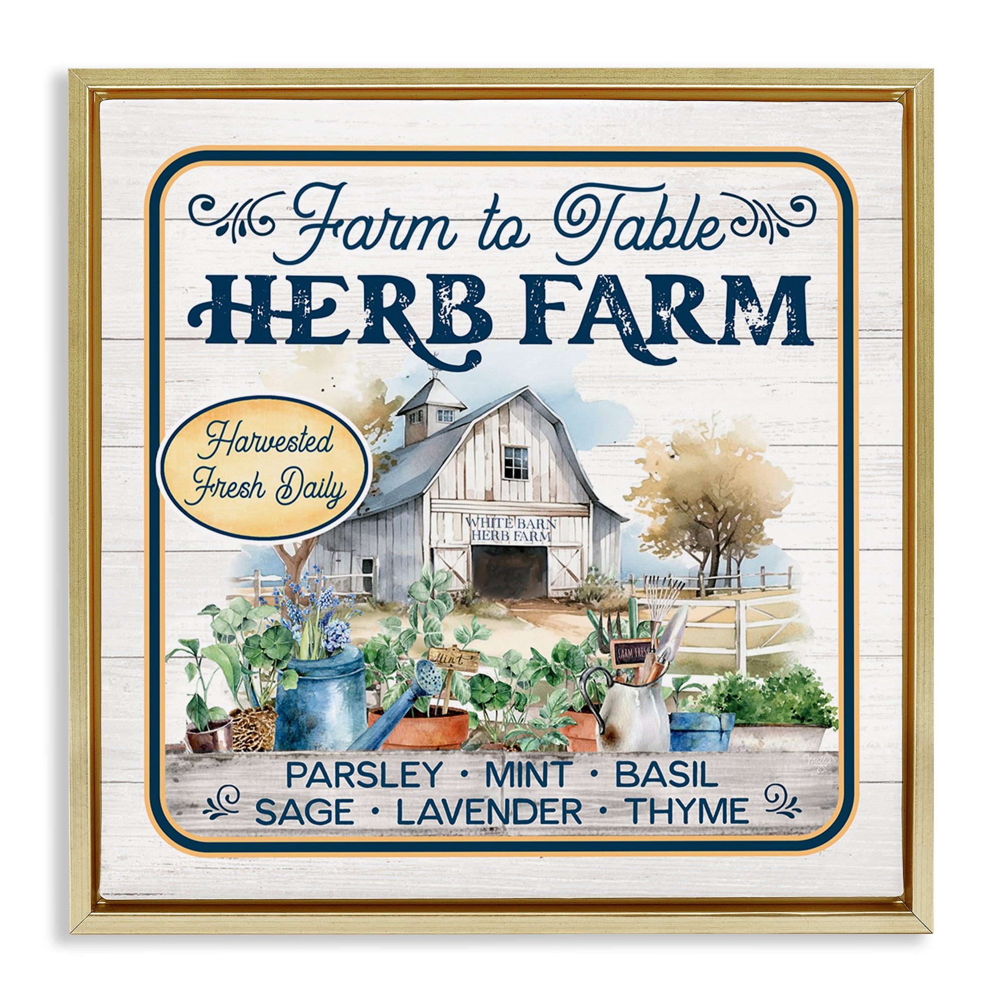 Stupell Industries Fresh Daily Herb Farm Text & Numbers Painting Gold Floater Framed Canvas Art Print Wall Art, 18 x 18