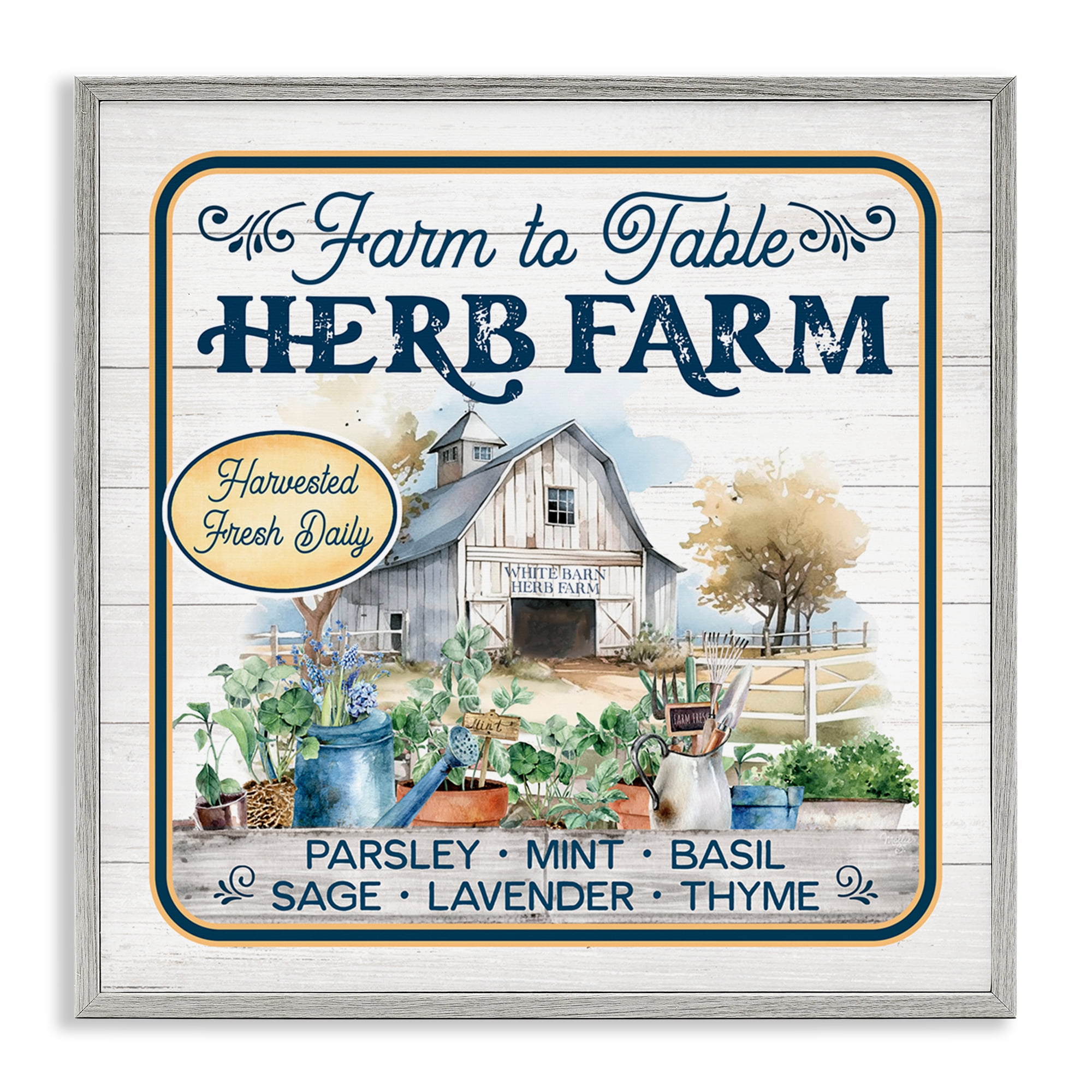 Stupell Industries Fresh Daily Herb Farm Text & Numbers Painting Gray Framed Art Print Wall Art, 12 x 12