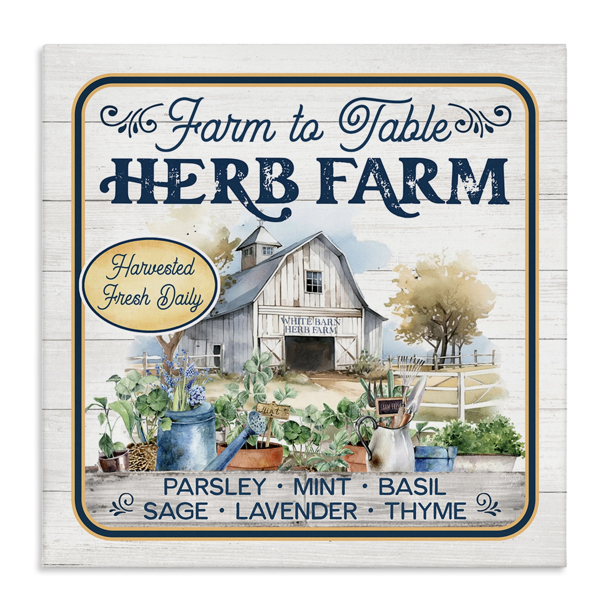 Stupell Industries Fresh Daily Herb Farm Text & Numbers Painting Wrapped Canvas Art Print Wall Art, 17 x 17