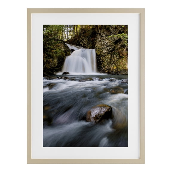Stupell Industries Fresh Fall Water Cascading Birch Framed Print Under Glass design by Sean Greenough, 20 x 14