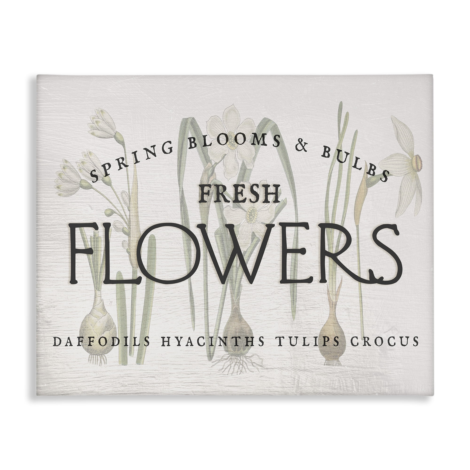 Stupell Industries Fresh Flowers Market Typography Painting Gallery Wrapped Canvas Art Print Wall Art, 20 x 16