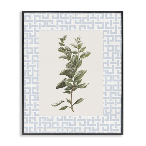 Stupell Industries Transitional Fresh Herb on Geometric Black Framed Giclee Art, 16 x 20, by Diannart