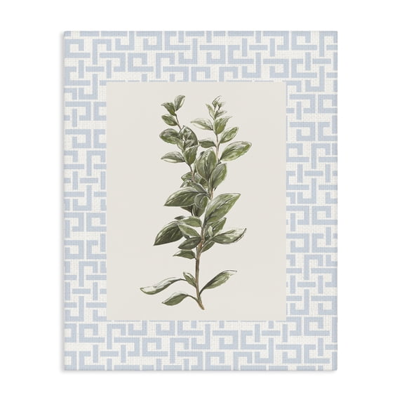 Stupell Industries Transitional Fresh Herb on Geometric Canvas Art, 36 x 48, by Diannart