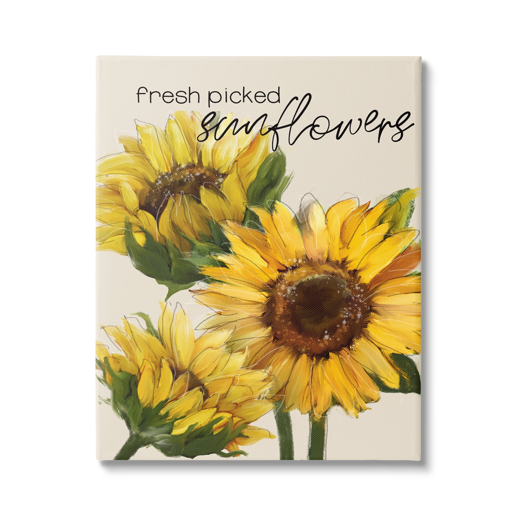 Stupell Industries Fresh Picked Sunflowers Calligraphy Vivid Yellow Blossoms Graphic Art Gallery Wrapped Canvas Print Wall Art, Design by Conrad Knutsen