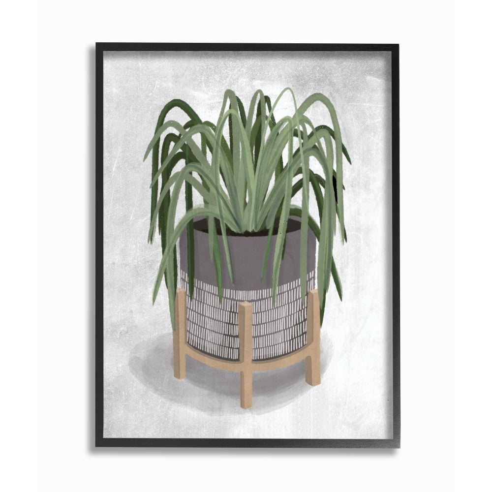 Stupell Industries Friendly Spider Plant Grey Green Painting Graphic Art Black Framed Art Print Wall Art, 11x14, by House Fenway