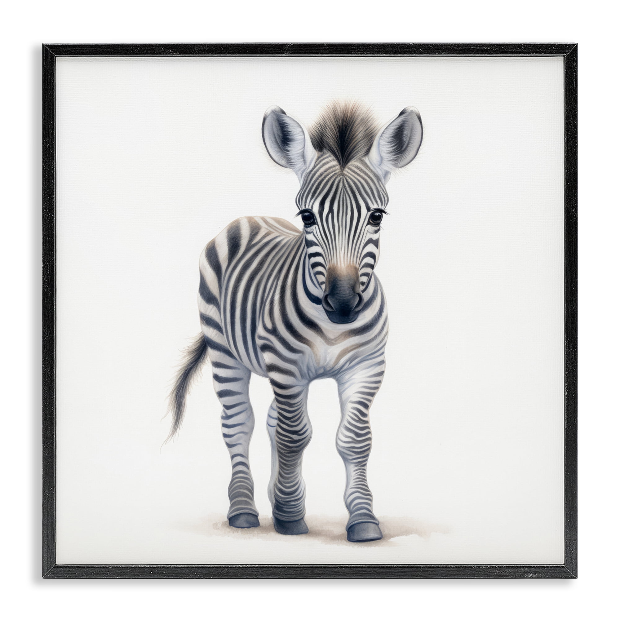Stupell Industries Friendly Zebra Foal Black Framed Giclee Art, design by Ray Powers