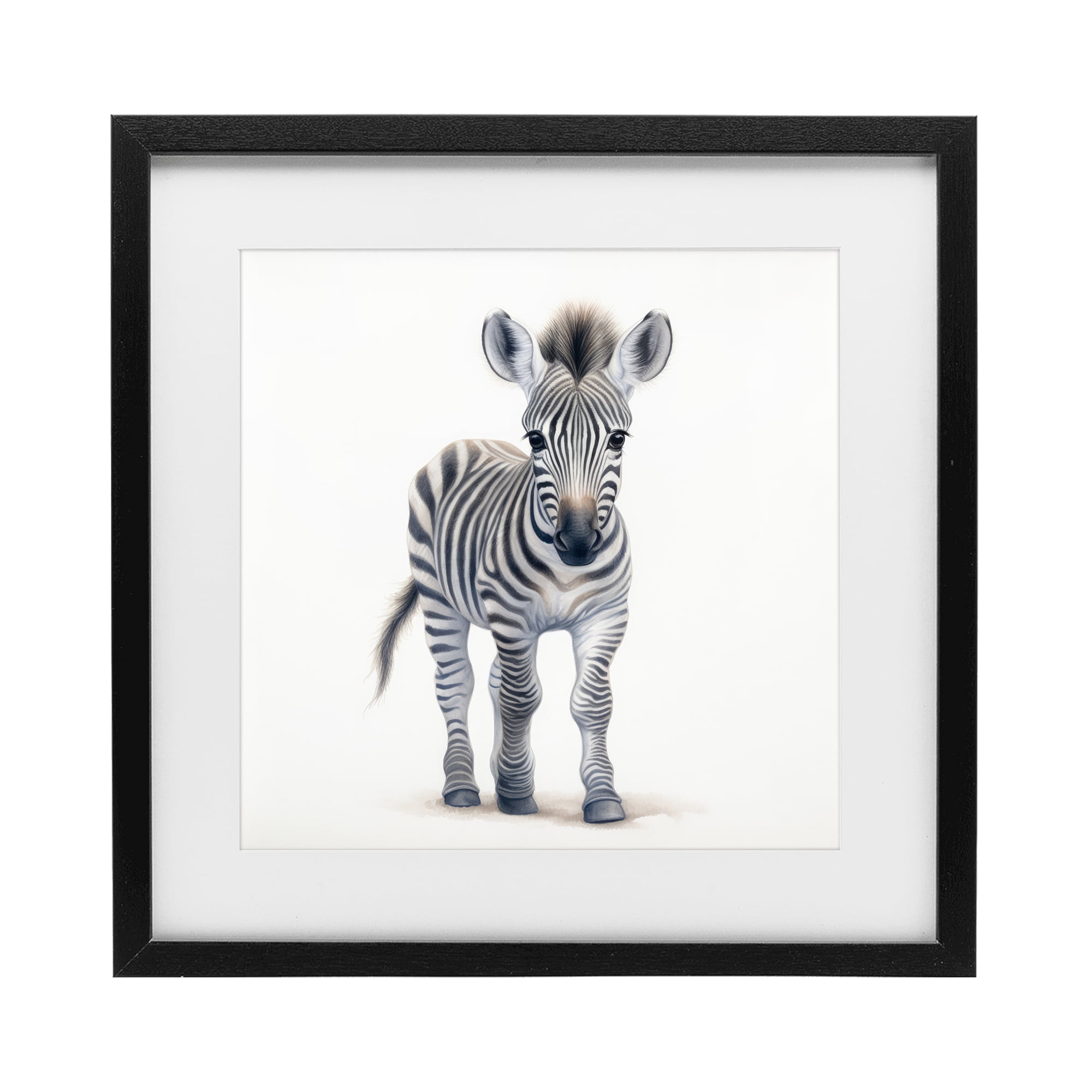 Stupell Industries Friendly Zebra Foal Black Framed Print Under Glass, design by Ray Powers