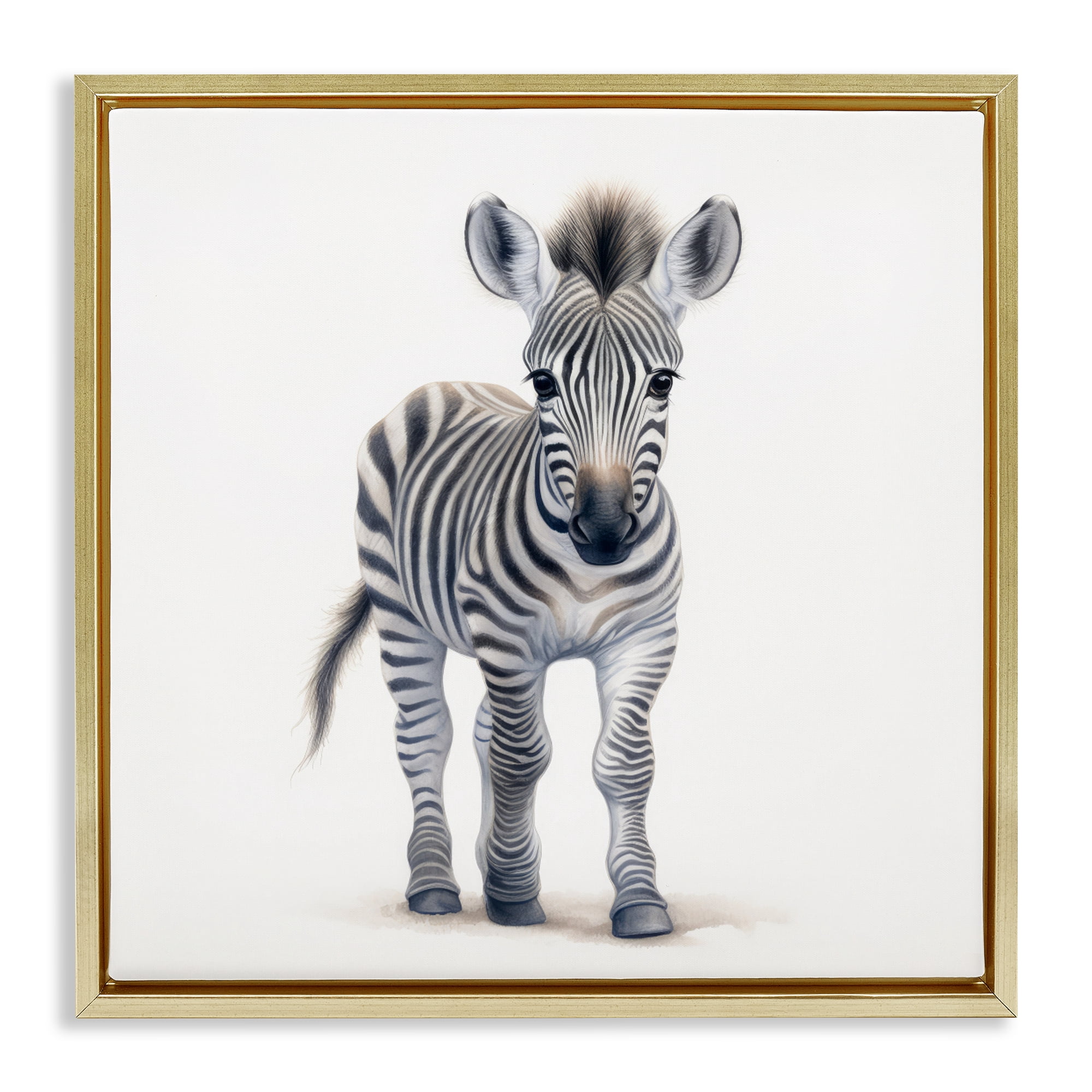 Stupell Industries Friendly Zebra Foal Gold Framed Floater Canvas Wall Art, design by Ray Powers