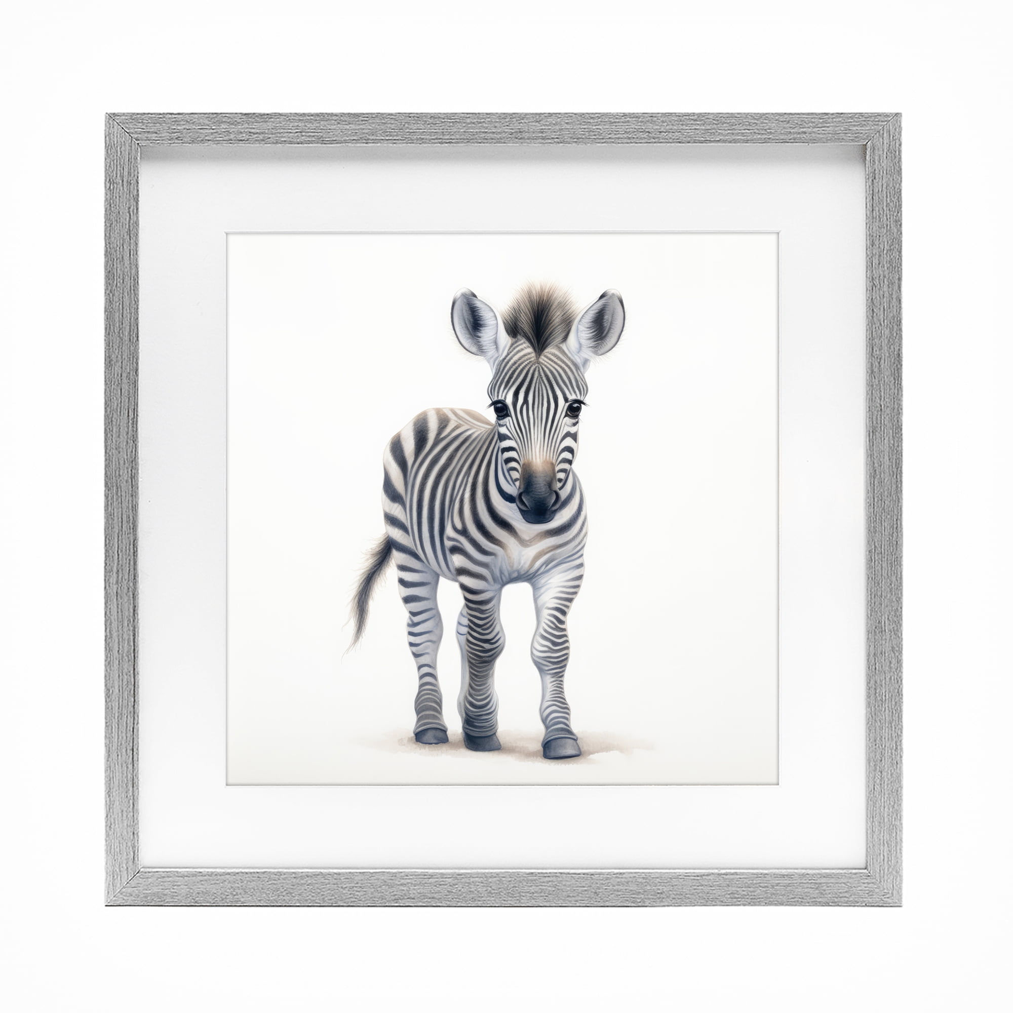 Stupell Industries Friendly Zebra Foal Gray Framed Print Under Glass, design by Ray Powers