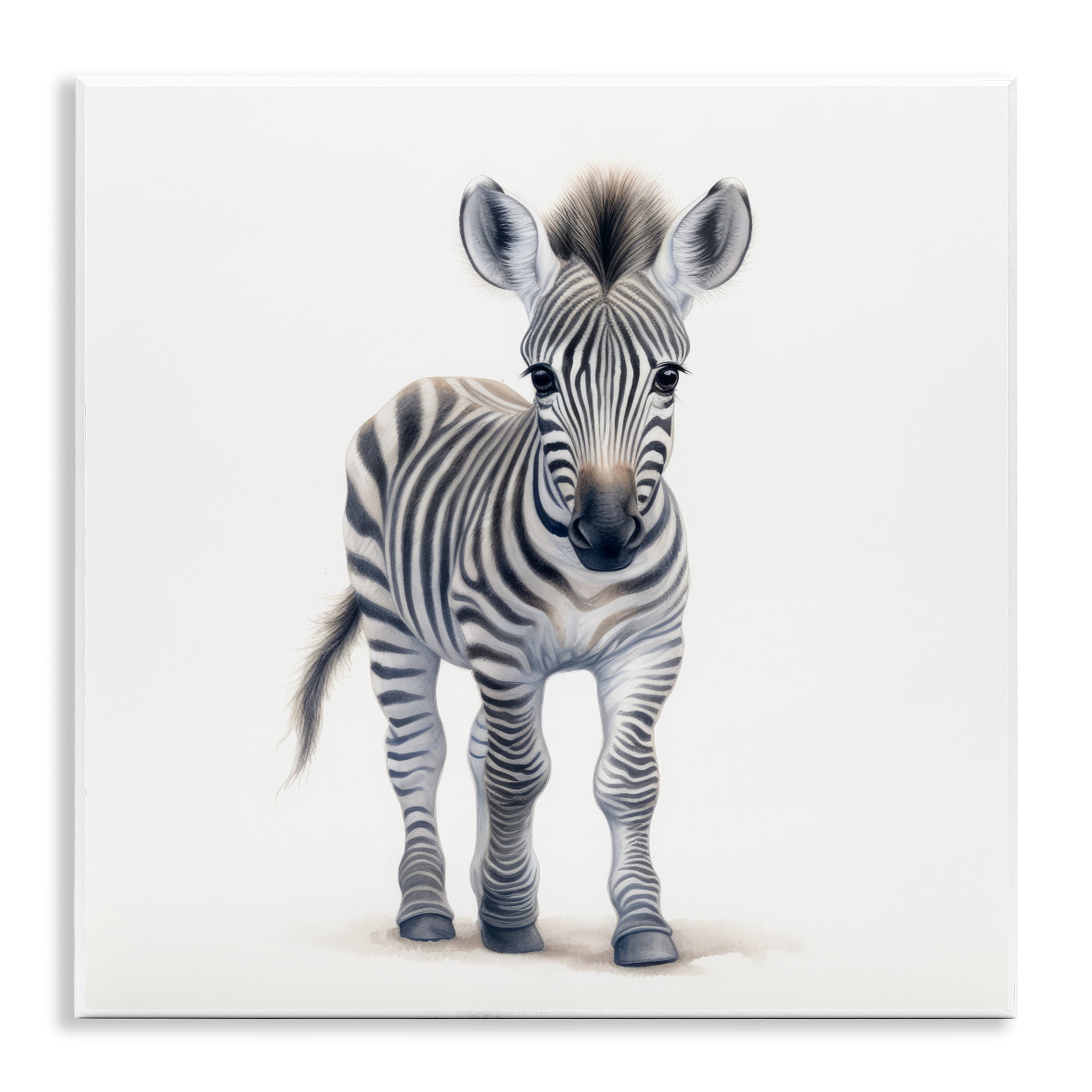 Stupell Industries Friendly Zebra Foal Wall Plaque Art, design by Ray Powers