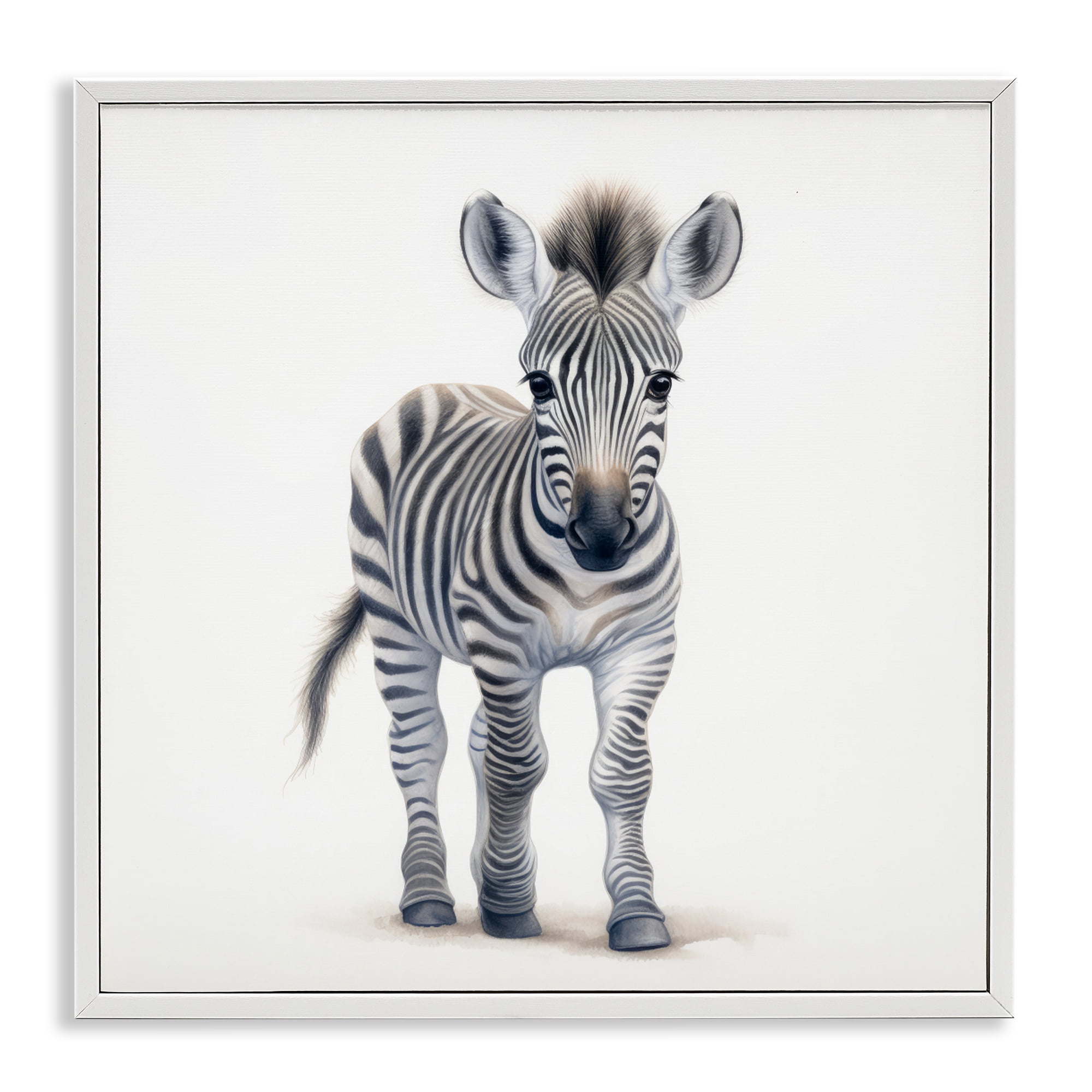 Stupell Industries Friendly Zebra Foal White Framed Giclee Art, design by Ray Powers
