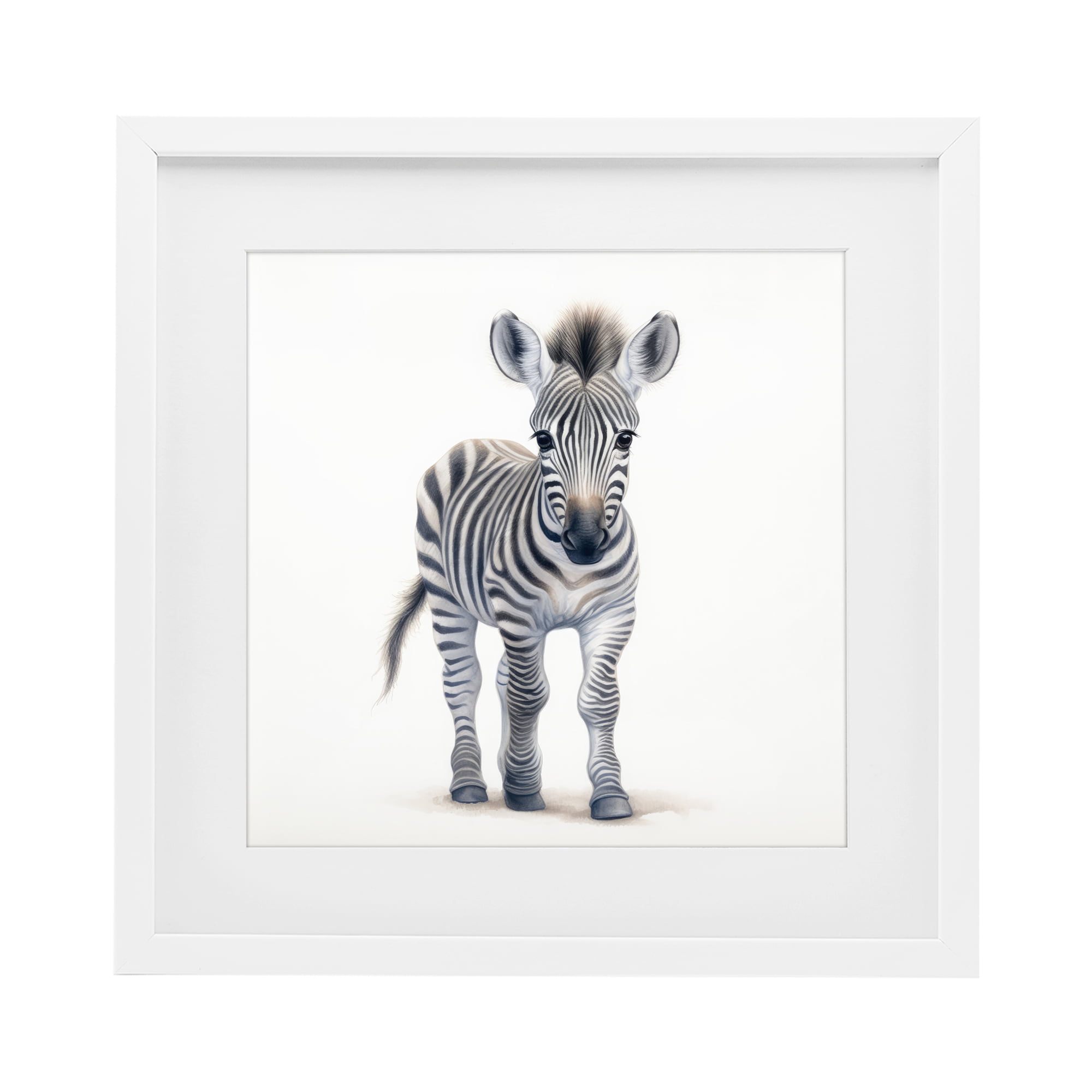 Stupell Industries Friendly Zebra Foal White Framed Print Under Glass, design by Ray Powers
