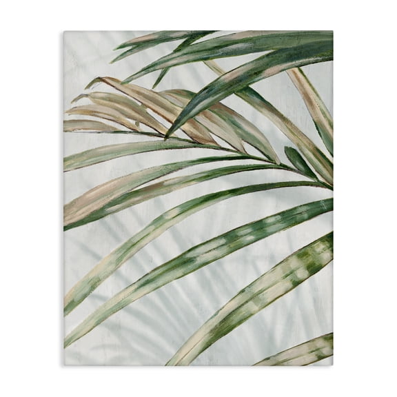 Stupell Industries Frond Impression Leaves Canvas Wall Art design by Alex Black, 40 x 30