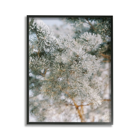 Stupell Industries Frosted Fir Tree Branches Landscape Photography Black Framed Art Print Wall Art, 24 x 30