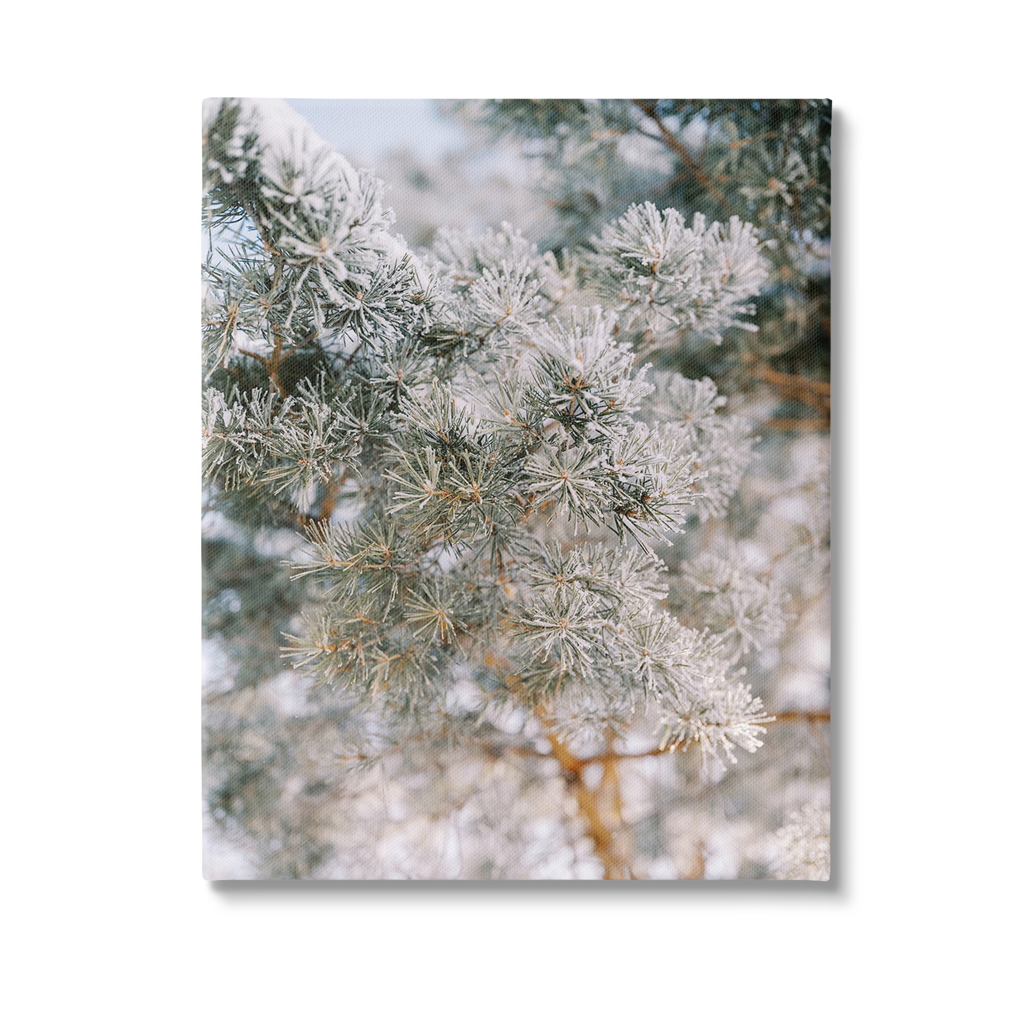 Stupell Industries Frosted Fir Tree Branches Landscape Photography Gallery Wrapped Canvas Art Print Wall Art, 36 x 48